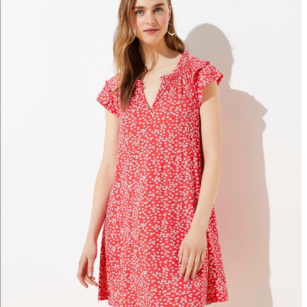 Loft Swing Dress